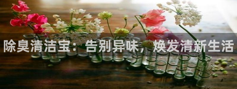 尊龙凯时ag旗舰：除臭清洁宝：告别异味，焕发清新生活