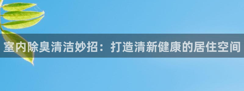 尊龙凯时福米推荐人：室内除臭清洁妙招：打造清新健康的居住